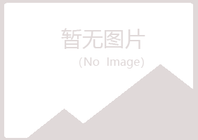 青岛四方平淡服务有限公司